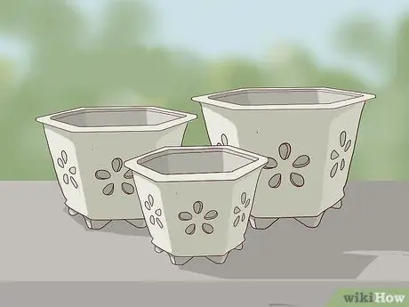 Пересадка орхидей Шаг 2