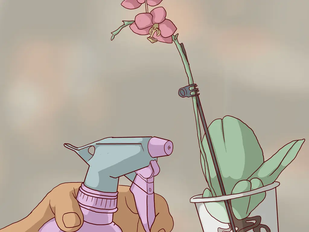 Как пересадить орхидеи: 15 шагов (с иллюстрациями)