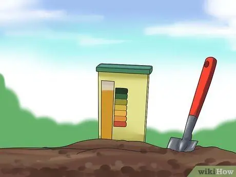 Выращивать подсолнухи, шаг 4