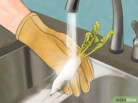 Выращивание редиса Шаг 7