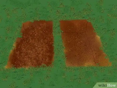 Дважды выкопайте сад, шаг 5