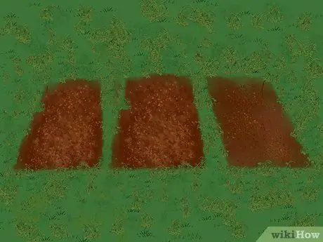 Дважды выкопайте сад, шаг 6