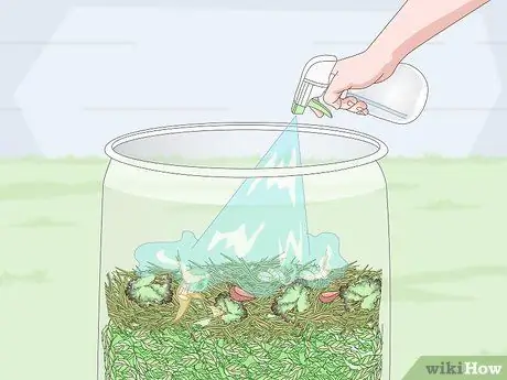 Добавьте азот в компост Шаг 13