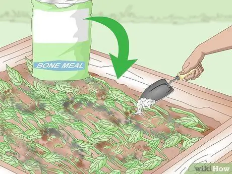 Добавьте азот в компост Шаг 4