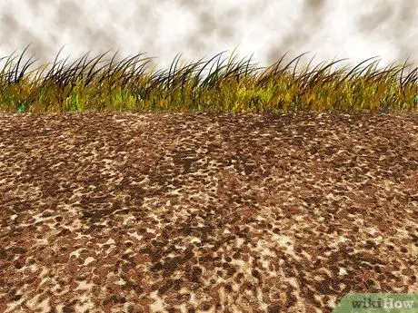 Уменьшите сток ливневых вод в вашем доме Шаг 6