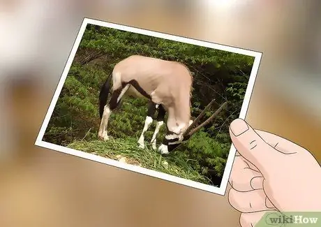 Трассировка фотографии Шаг 1