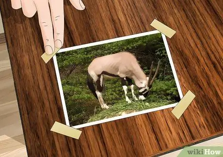 Трассировка фотографии Шаг 2