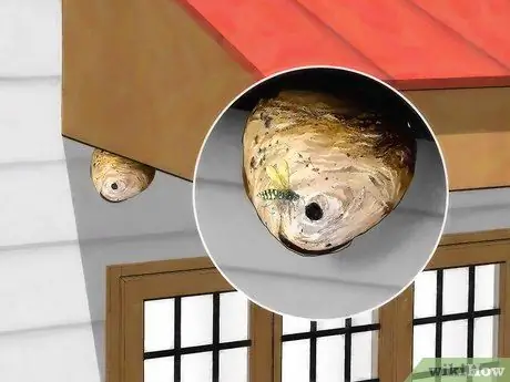 Убить желтых курток, шаг 9