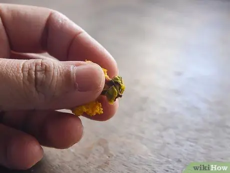Приготовить пасхальные яйца из прессованных цветов Шаг 2 Приготовить пасхальные яйца из прессованных цветов Шаг 2