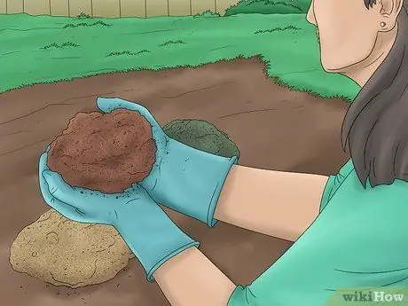 Выращивание стручковой фасоли, шаг 3