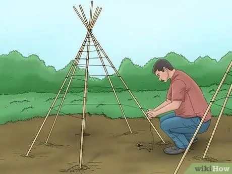 Выращивание стручковой фасоли, шаг 4