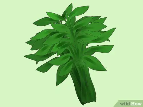 Сделайте Smudge Stick Шаг 3