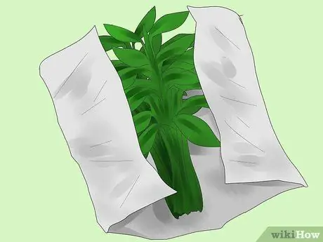 Сделайте Smudge Stick Шаг 4