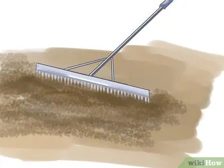 Grow Rue Step 3