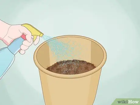 Выращивание базилика в помещении Шаг 6