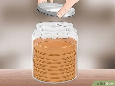 Store Scoby Step 13