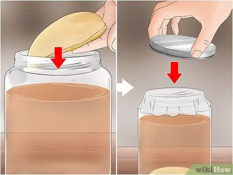 Магазин Scoby, шаг 4