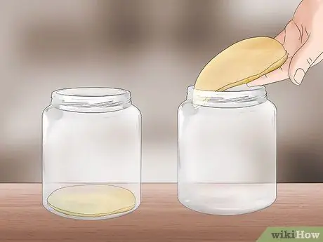 Store Scoby Step 6