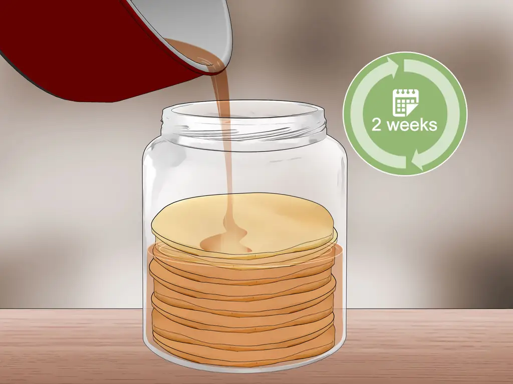 3 способа хранения Scoby