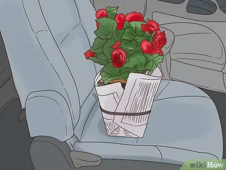 Купить цветы в горшках Шаг 9