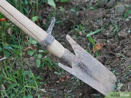 Посадить срезанный цветочный сад Шаг 7