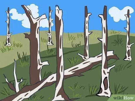 Постройте бревенчатую кровать Шаг 1 Пункт 1