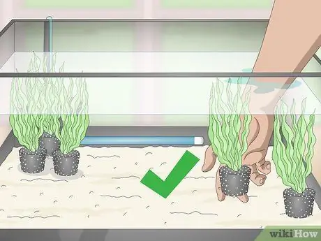 Повышение pH воды Шаг 8