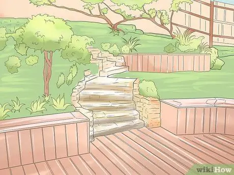 Выращивание ревеня Шаг 1