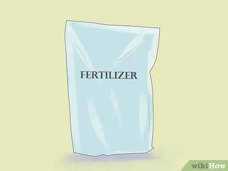 Выращивание ревеня Шаг 11