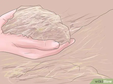 Выращивание ревеня Шаг 7