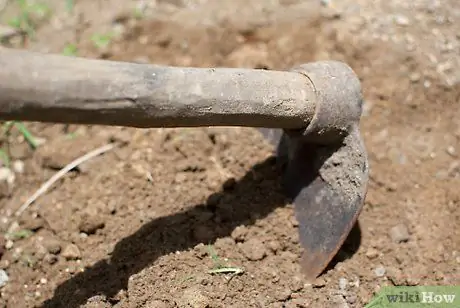 Посадить картофель, шаг 2