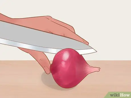 Выращивание красного лука Шаг 13