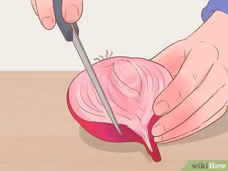 Выращивание красного лука Шаг 14