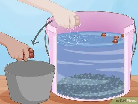 Выращивайте Conkers, шаг 4