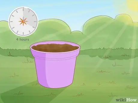 Выращивайте Conkers, шаг 8