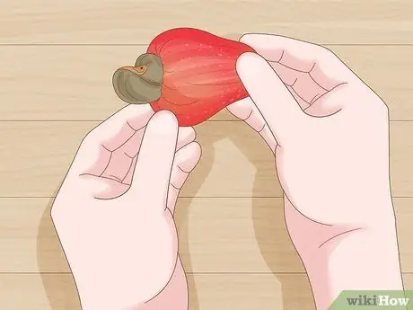 Выращивание кешью Шаг 10