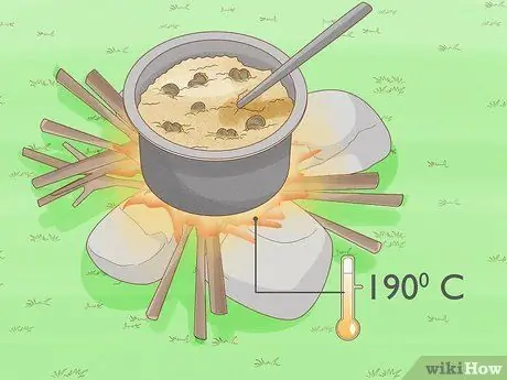 Выращивание кешью Шаг 12