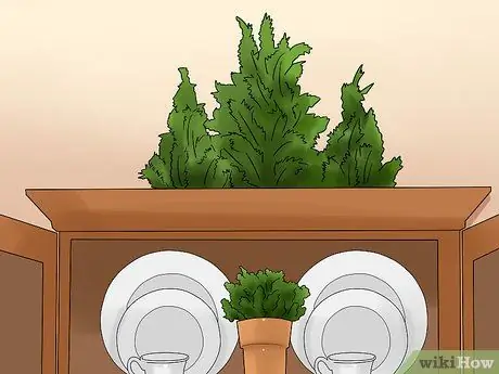 Украшаем клетку для столовой Шаг 10