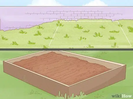 Выращивание капусты, шаг 2