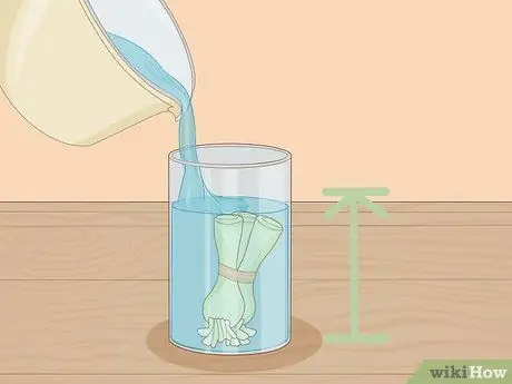 Выращивание лука в воде, шаг 9
