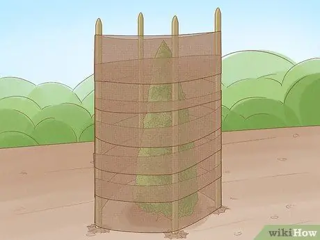 Укрытие Arborvitae for Winter Step 2