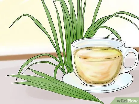 Выращивание лемонграсса Шаг 10