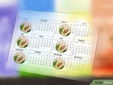 Знайте, какое удобрение использовать для ваших садовых растений и когда его использовать Шаг 5