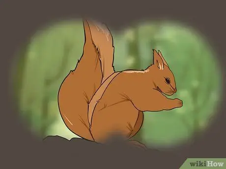 Use Binoculars Step 10