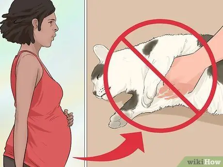 Убить Toxoplasma Gondii, шаг 14