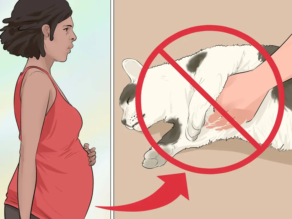 Как убить Toxoplasma Gondii: 14 шагов (с иллюстрациями)