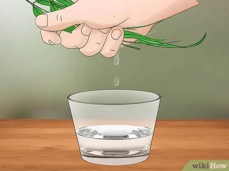 Сбор воды с растений Шаг 9