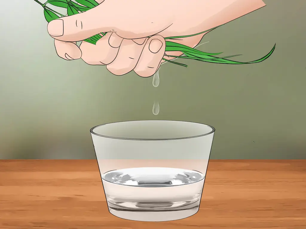 Как собрать воду с растений: 9 шагов (с иллюстрациями)