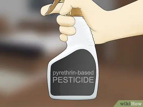 Как заставить клопов выйти из укрытия Шаг 9