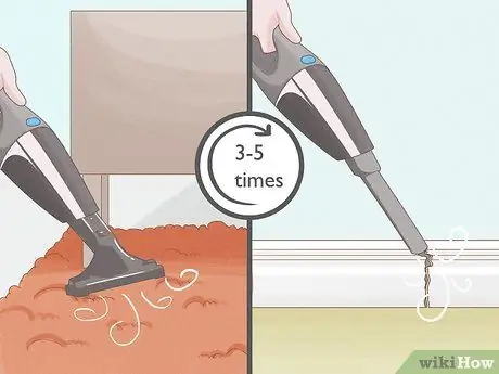 Убить клопов, шаг 8